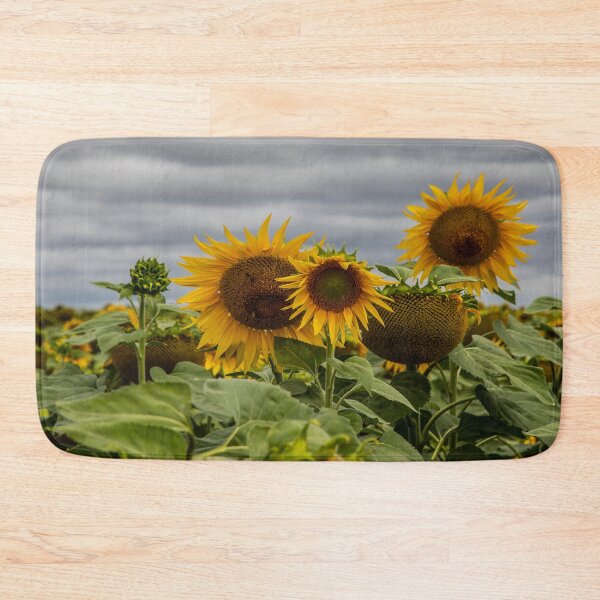 Item preview, Sunflower Field designed and sold by Marylou Badeaux.