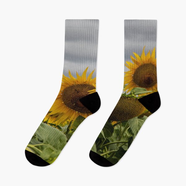 Item preview, Sunflower Field designed and sold by Marylou Badeaux.