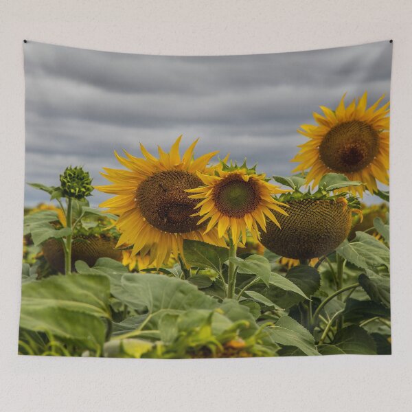 Item preview, Sunflower Field designed and sold by Marylou Badeaux.