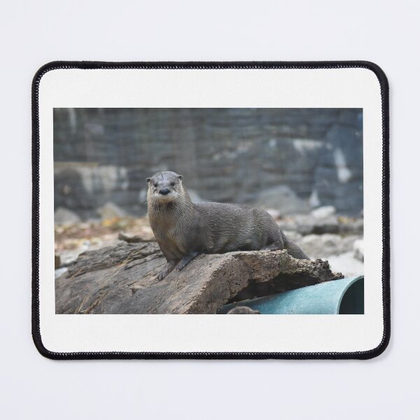 Item preview, River Otter designed and sold by MarieDarcy97.