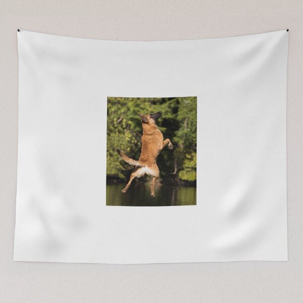 Item preview, 2018 Malinois leap designed and sold by Belgian Shepherd Dog Club of QLD Inc.