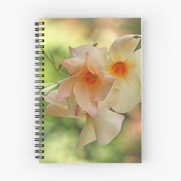 Item preview, Apricot Mandevilla designed and sold by Debbie Oppermann.