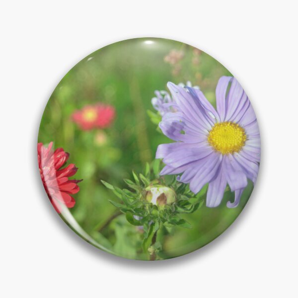 Item preview, pretty purple and red aster daisy flowers in a garden designed and sold by naturematters.