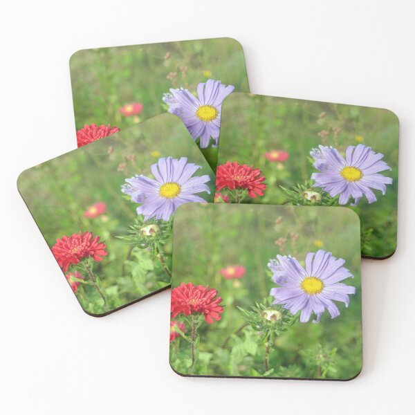 Item preview, pretty purple and red aster daisy flowers in a garden designed and sold by naturematters.