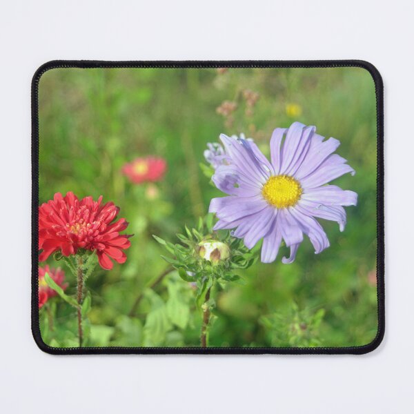 Item preview, pretty purple and red aster daisy flowers in a garden designed and sold by naturematters.