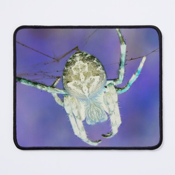 Item preview, Inverted colour spider  designed and sold by Mickangelhere.