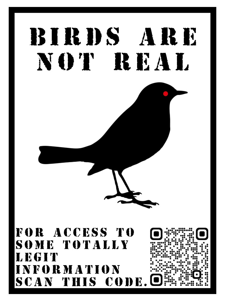 "Birds are not real promotional" Sticker for Sale by BeanApparel