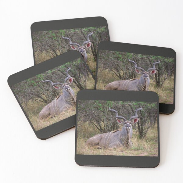 Item preview, Kudu Bull | African Wildlife designed and sold by Artisnaps.