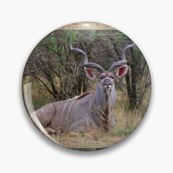 Item preview, Kudu Bull | African Wildlife designed and sold by Artisnaps.