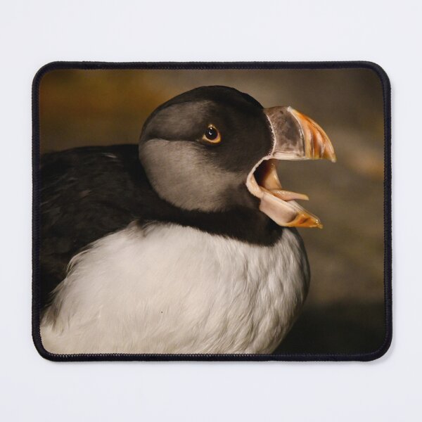 Item preview, Yawning Horned Puffin designed and sold by richardbryce.