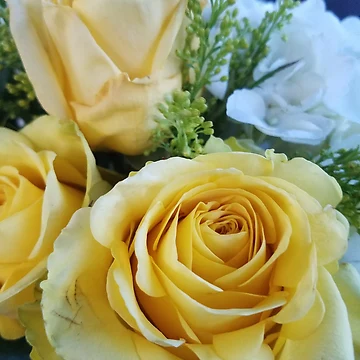 Artwork thumbnail, Yellow Roses by Oscar Hernandez