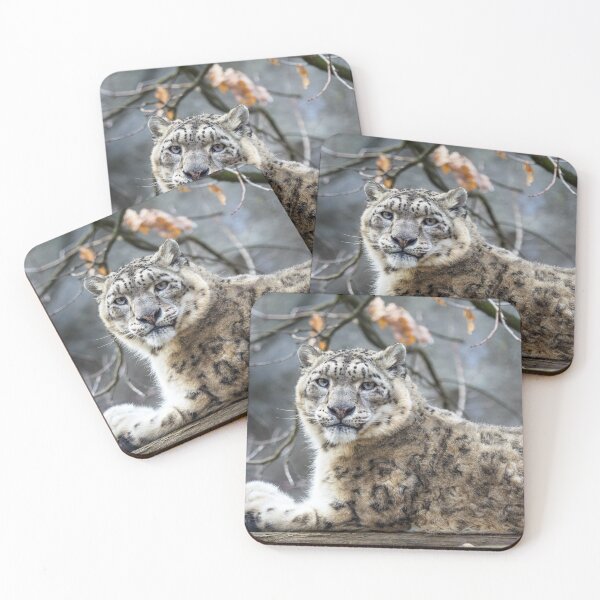 Item preview, Snow leopard - Irbis (Panthera uncia). designed and sold by LubosChlubny.