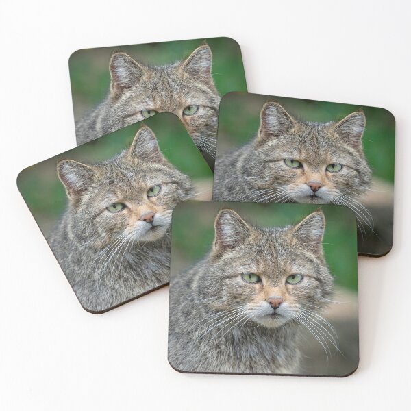 Item preview, European Wild Cat (Felis silvestris) designed and sold by LubosChlubny.
