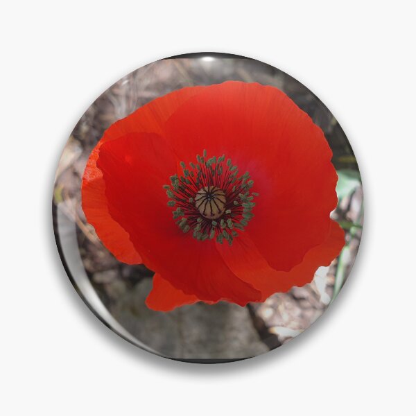 Item preview, Sammies Poppies designed and sold by HocusPocusFocus.