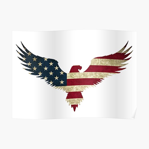 Bald Eagle- America Poster