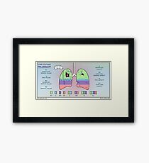 Lung Volumes and Capacities Framed Print
