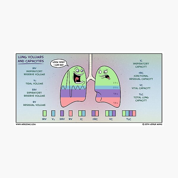 Lung Volumes and Capacities Photographic Print