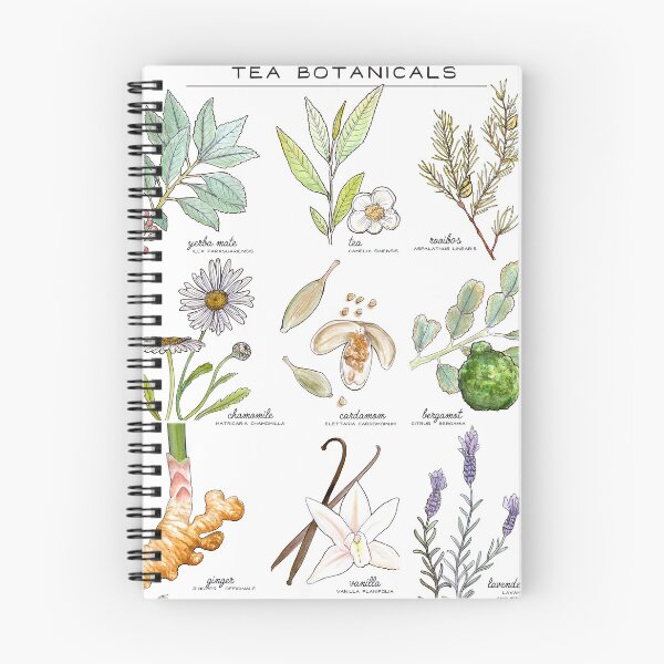 Item preview, Tea botanicals poster designed and sold by Kat Ingalls.