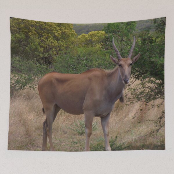 Artikelvorschau, Eland | Afrikanische Tierwelt entworfen und verkauft von Artisnaps.