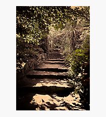 Fitzroy Gardens Photographic Print