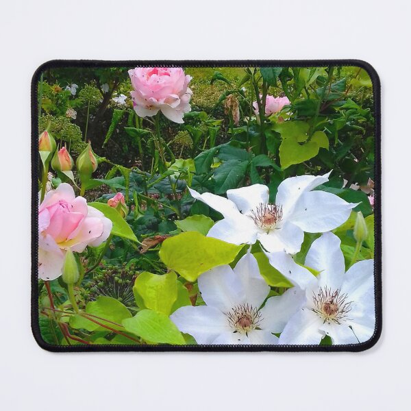 Item preview, Pale pink roses and white clematis flowers in a country garden. designed and sold by claireseyeview.