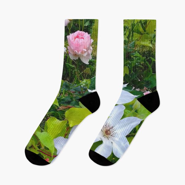 Item preview, Pale pink roses and white clematis flowers in a country garden. designed and sold by claireseyeview.