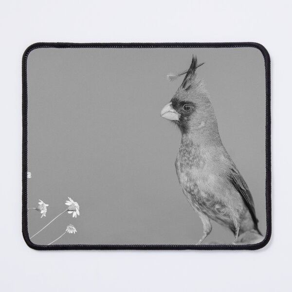Item preview, Pyrrhuloxia with a special feather designed and sold by Puttaswamy Ravishankar.