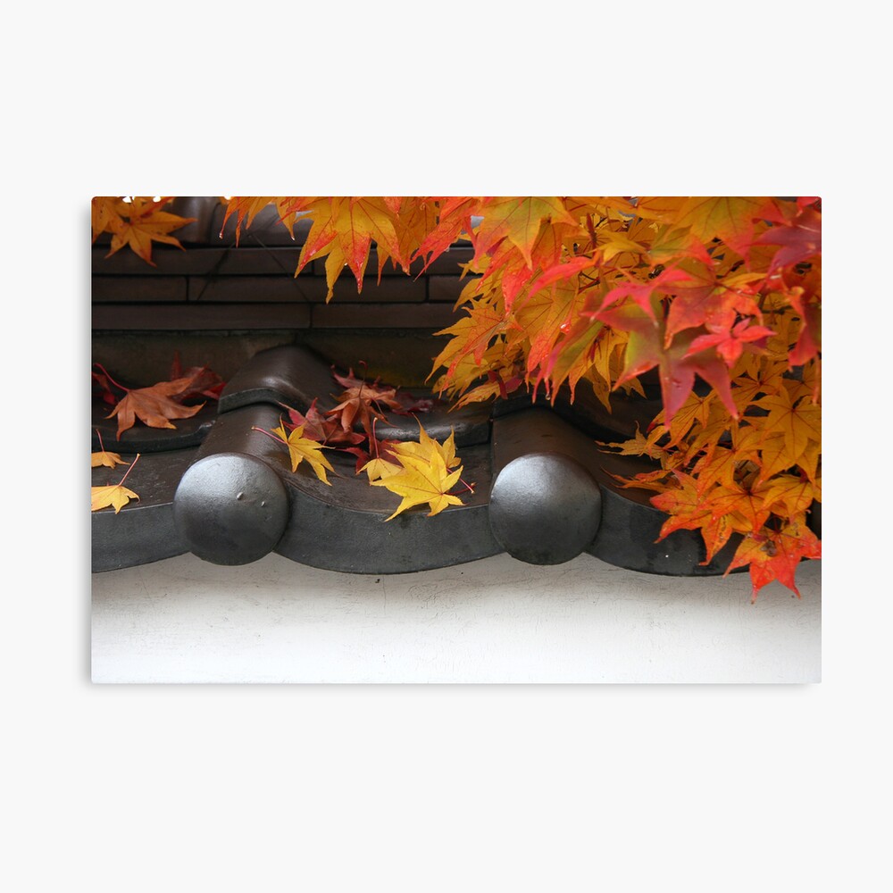 Momiji on Roof Canvas Print