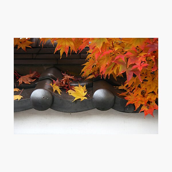 Momiji on Roof Photographic Print