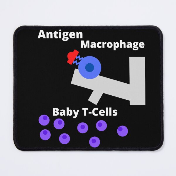 Item preview, Macrophage presenting Antigen to Baby T-Cells, Biology Meme designed and sold by primipromi.
