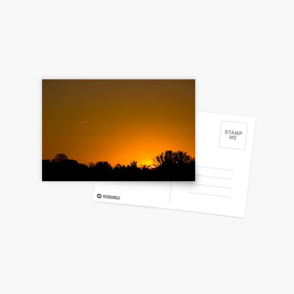 Sunny Skies Airliner Postcard