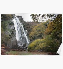 Powerscourt waterfall Poster
