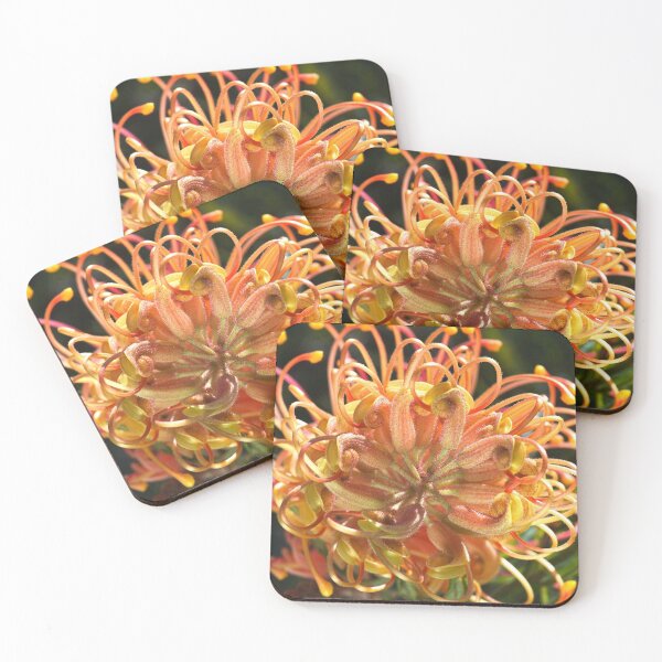 Item preview, Australian Native Grevillea Superb Flower designed and sold by Joy Watson - Natural Light Photography .