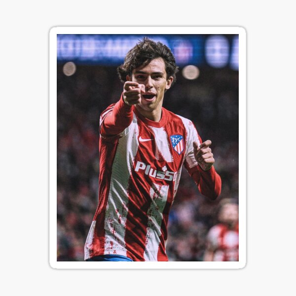 &ldquo;Joao Wallpaper Illustration iPhone Case&rdquo; Sticker for Sale by Jadidrap1