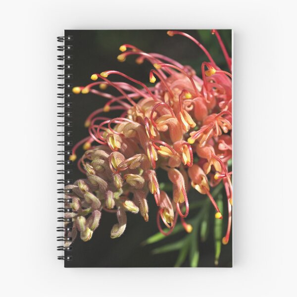 Item preview, Grevillea  Superb Flower designed and sold by Joy Watson - Natural Light Photography .