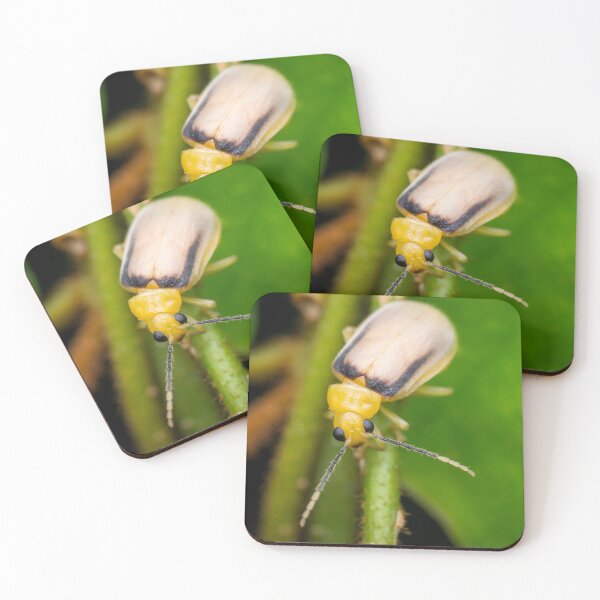 Item preview, A species of leaf beetle known as Galerosastra sumatrana designed and sold by AvonPerception.