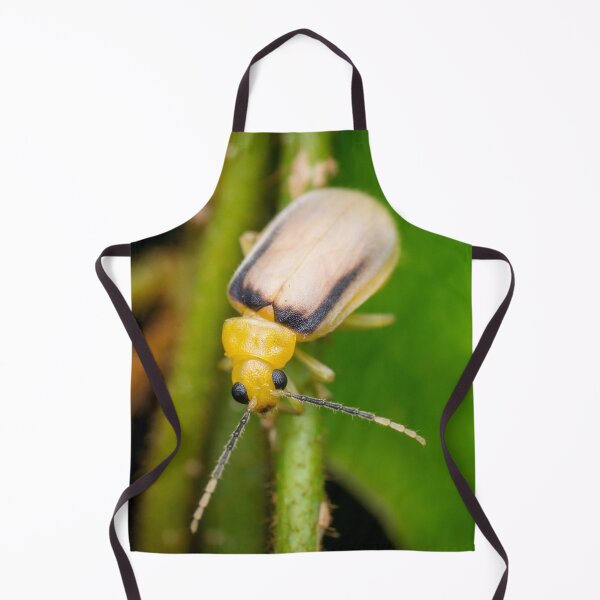 Item preview, A species of leaf beetle known as Galerosastra sumatrana designed and sold by AvonPerception.