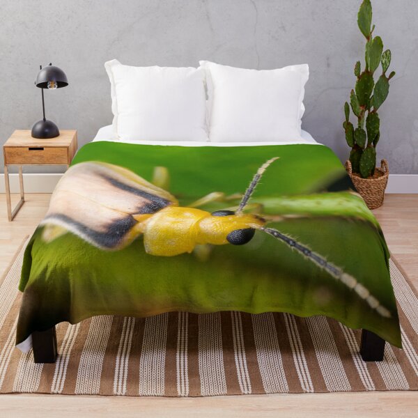 Item preview, A species of leaf beetle known as Galerosastra sumatrana designed and sold by AvonPerception.