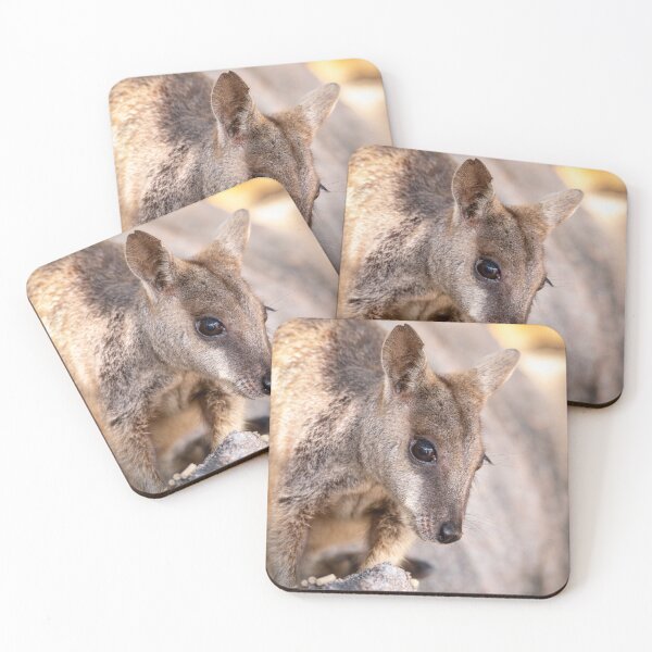 Item preview, Rock Wallaby designed and sold by Geoff Wols.