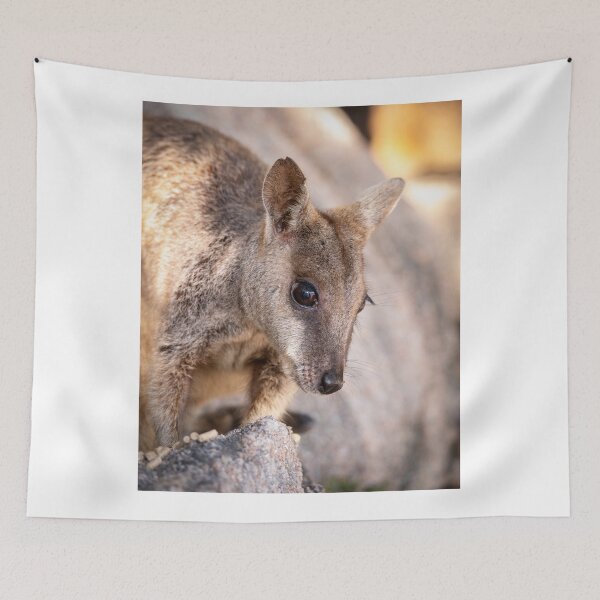 Item preview, Rock Wallaby designed and sold by Geoff Wols.