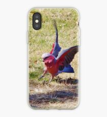 Landing Gear Down (Galah) iPhone Case