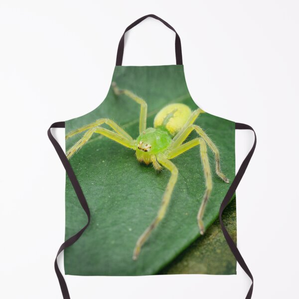 Item preview, A female green huntsman spider (Micrommata virescens) designed and sold by AvonPerception.