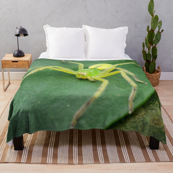 Item preview, A female green huntsman spider (Micrommata virescens) designed and sold by AvonPerception.