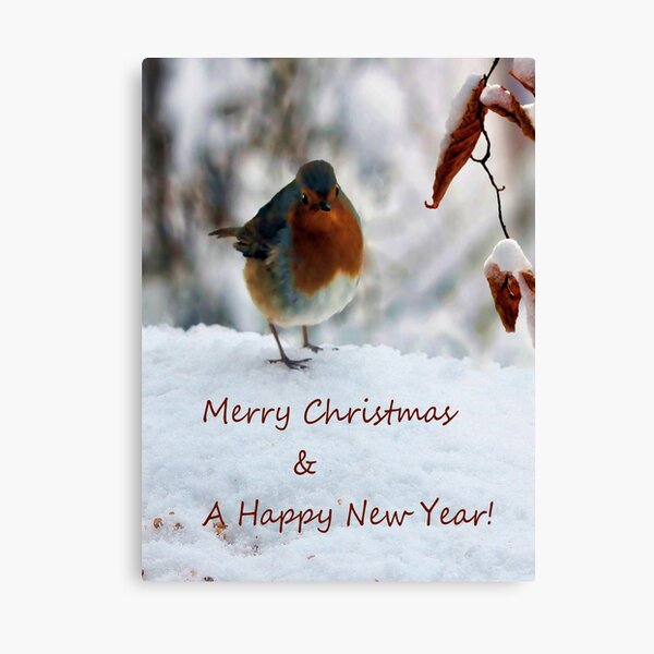 Robin Redbreast Canvas Print