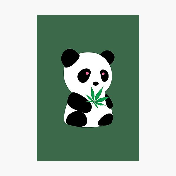 Panda with "recreational bamboo" Photographic Print