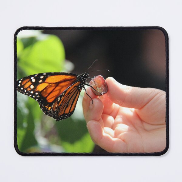 Item preview, Uda Kar Butterfly Chali designed and sold by Harshly.