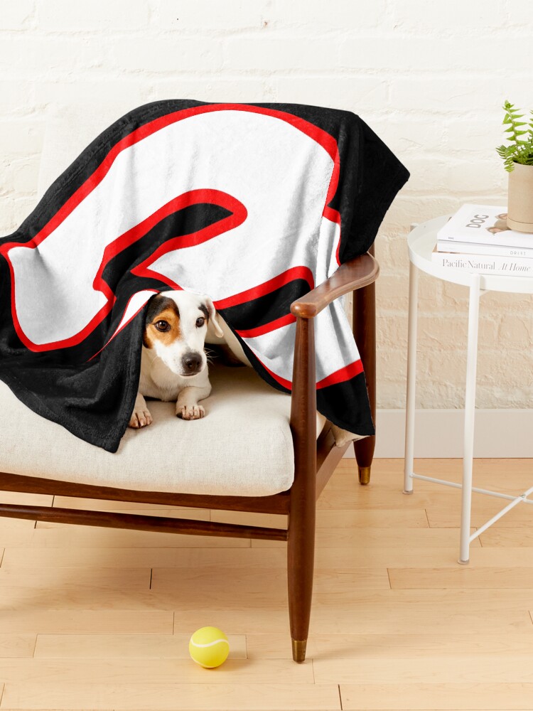 Target discount dog blanket