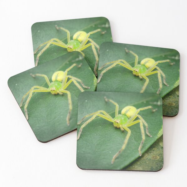 Item preview, A female green huntsman spider (Micrommata virescens) designed and sold by AvonPerception.