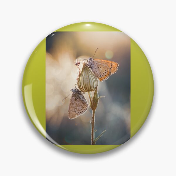 Item preview, Butterfly Is Kissing Flower This Is HaAwa Products Designed By Harshly For All Redbubble Users  designed and sold by Harshly.