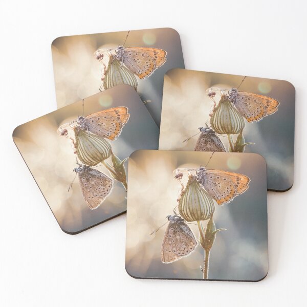 Item preview, Butterfly Is Kissing Flower This Is HaAwa Products Designed By Harshly For All Redbubble Users  designed and sold by Harshly.